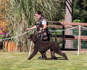 07 - WHISTLE STOP'S FIRST OFFICER FINN