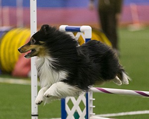 20150321-LEAP-0343.jpg