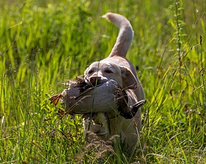 20170716-WCL-0013.jpg
