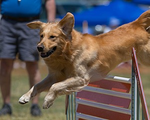 20150613-CCKC-0361.jpg
