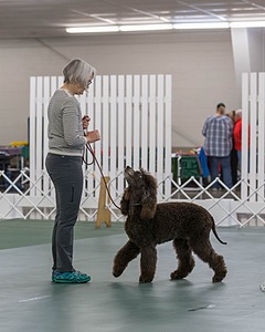 20190514-RA-0256.jpg
