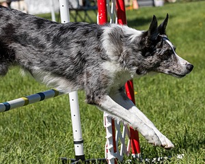 20170520-NEAT-0517.jpg