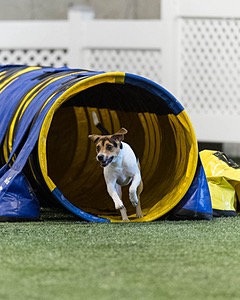Greta Henderson