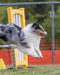 20200819-1186.jpg