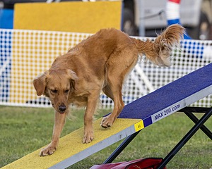 20230916-PVKC-1730.jpg
