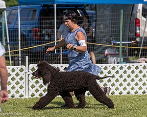 43 - GCH CH Chantico's Shelter From The Storm CD RA MX AXJ MXP2 MJP2 MJPB XF DS (Reef)