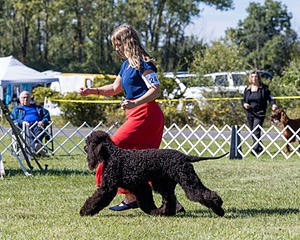 24 - POOLE'S IDE MODERN LOVE CGC (Remi)