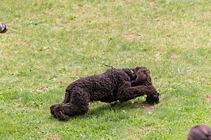 20190512-BD-0130.jpg