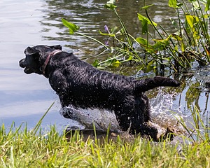 20190803-JHW-0019.jpg