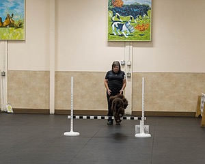 2801 - FINNIBONE'S CUZ MAMA CAN RE DS DJA CGC TKN VHMA (Mamma Cass)