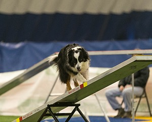 20150321-LEAP-1032.jpg
