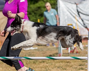 20160619-CCKC-0249.jpg