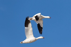 20151206-3252.jpg