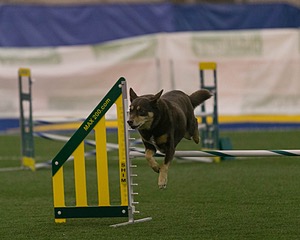 20150321-LEAP-0363.jpg