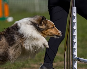 20220917-PVKC-0048.jpg