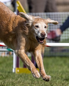 20230916-PVKC-1366.jpg
