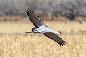 20151206-2161.jpg