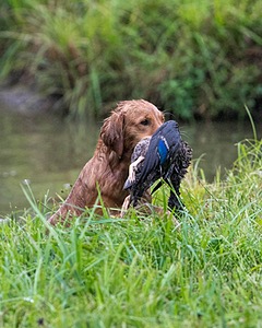 20150913-SEAW-0036.jpg
