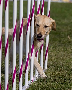 20230916-PVKC-1456.jpg