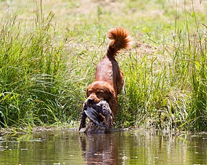 20130714-MHB2-0081.jpg