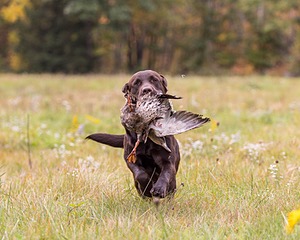 Gunny Fisher