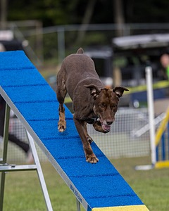 20230916-PVKC-0450.jpg