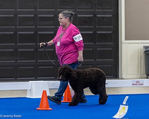 R10 - BALLYHOO'S V FINNEGAN MCNEILL BN FDC CA BCAT DS DJ CGCA TKN VHMA