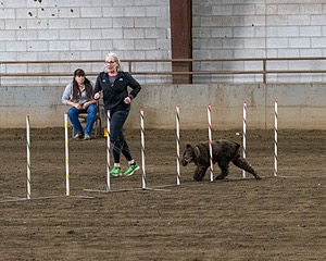20190513-AG-0147.jpg