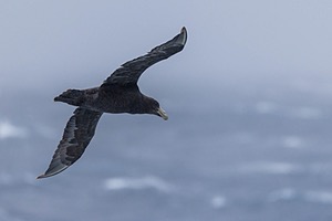 20260324-0038.jpg