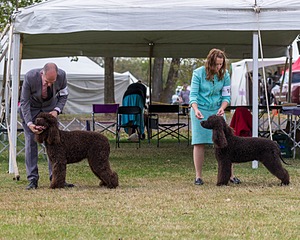 20190928-0533.jpg
