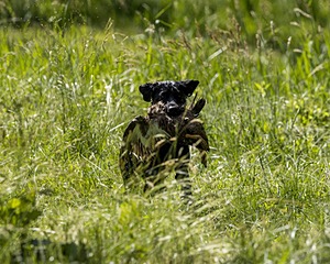 20220605-FINW-1709.jpg