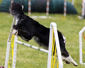20160515-NEAT-1188.jpg