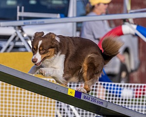20230916-PVKC-1694.jpg