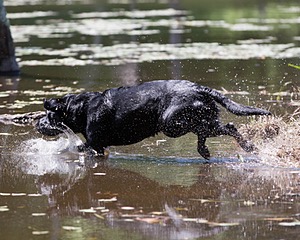 20130602-SEAW-0386.jpg