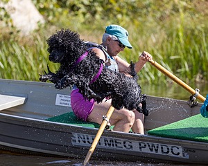Perry