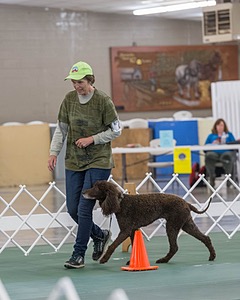 20190514-RA-0288.jpg