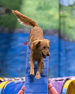 20260221-0857.jpg