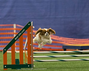 20150321-LEAP-1636.jpg