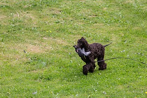 20190512-BD-0050.jpg