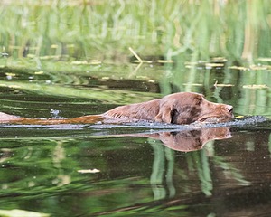 20160604-SEAW-0013.jpg