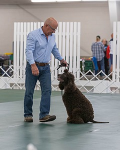 20190514-RA-0273.jpg