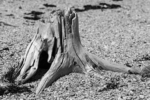 20180707-0134.jpg