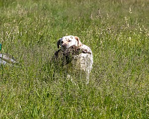 20210606-SEAL-1397.jpg