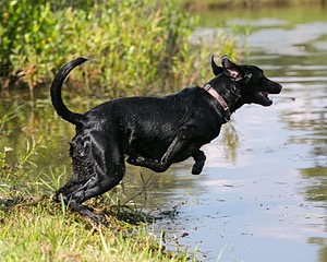 missie Lusink