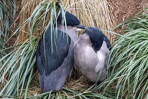 20191214-0380.jpg