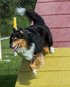 20200819-0578.jpg
