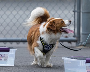 20260718-NSKC-0373.jpg