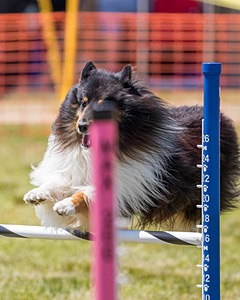 20180616-1246.jpg