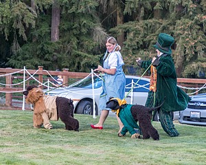 20210827-CC-0012.jpg