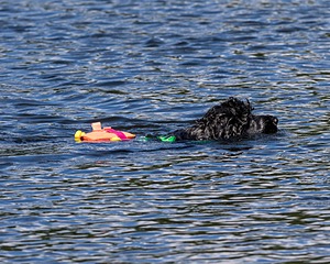 20170820-CWD-0020.jpg